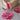 Abyss & Habidecor Passion Bath Rug
